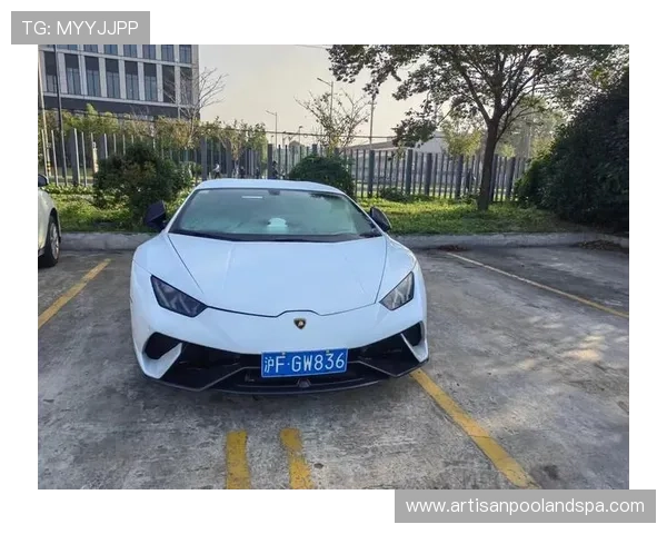 巴洛特利训练迟到还顺手买了辆兰博基尼？